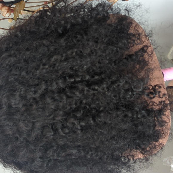 Burmese curling HH - Picture 1 of 5